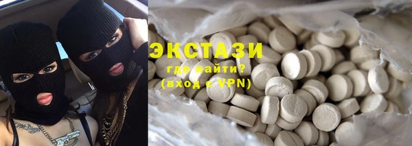 ECSTASY Богородицк