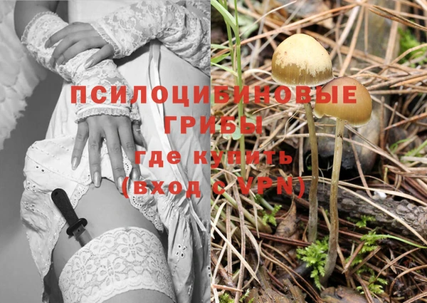 не бодяженный Тобольск