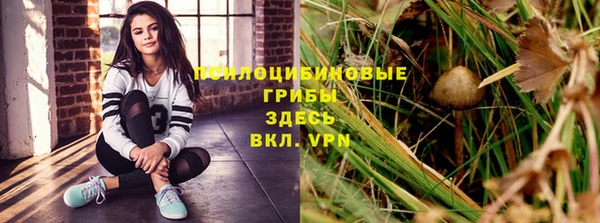 не бодяженный Тобольск