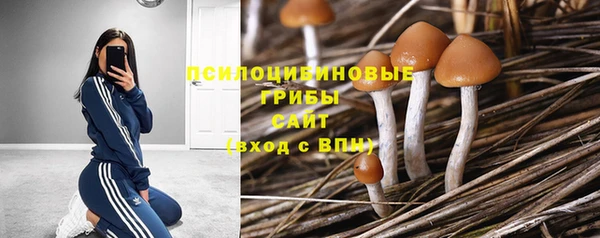 мяу мяу кристалл Богданович